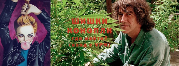 а пвп мука Богданович