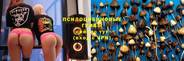 а пвп мука Богданович